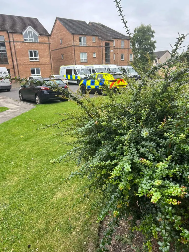 Stewart court strikes again!